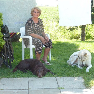 1. Dog Boarding in Montreal