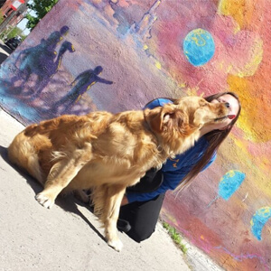 dog boarding facility in Montreal