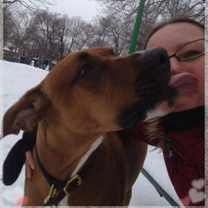 dog boarding facility in Montreal