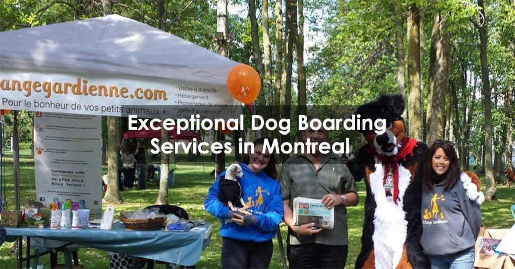 Exceptional Dog Boarding Services in Montreal