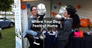 Where Your Dog Feels at Home