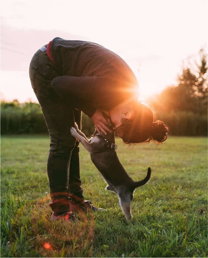 Morning playtime at a dog boarding service in Montreal
