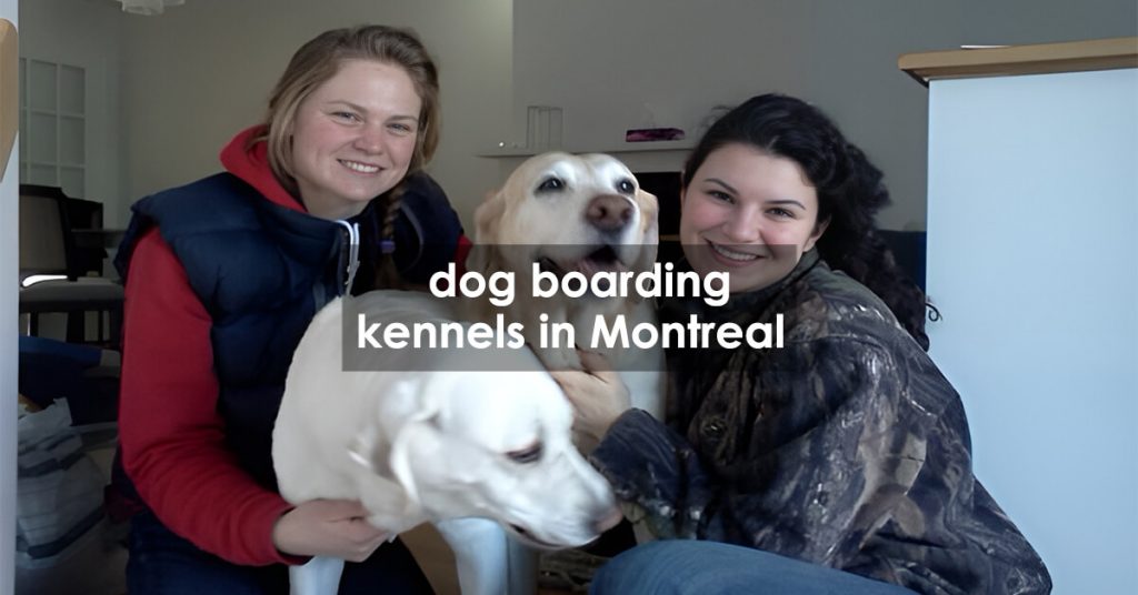 dog boarding kennels in Montreal