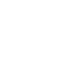 Pet taxi service for dogs provided by a dog boarding service in Montreal